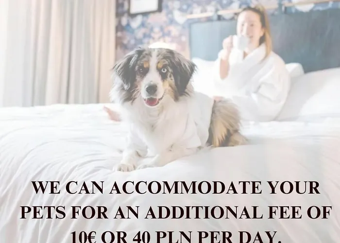 Lumina Luxury For Family Next To Ksiezy Mlyn *